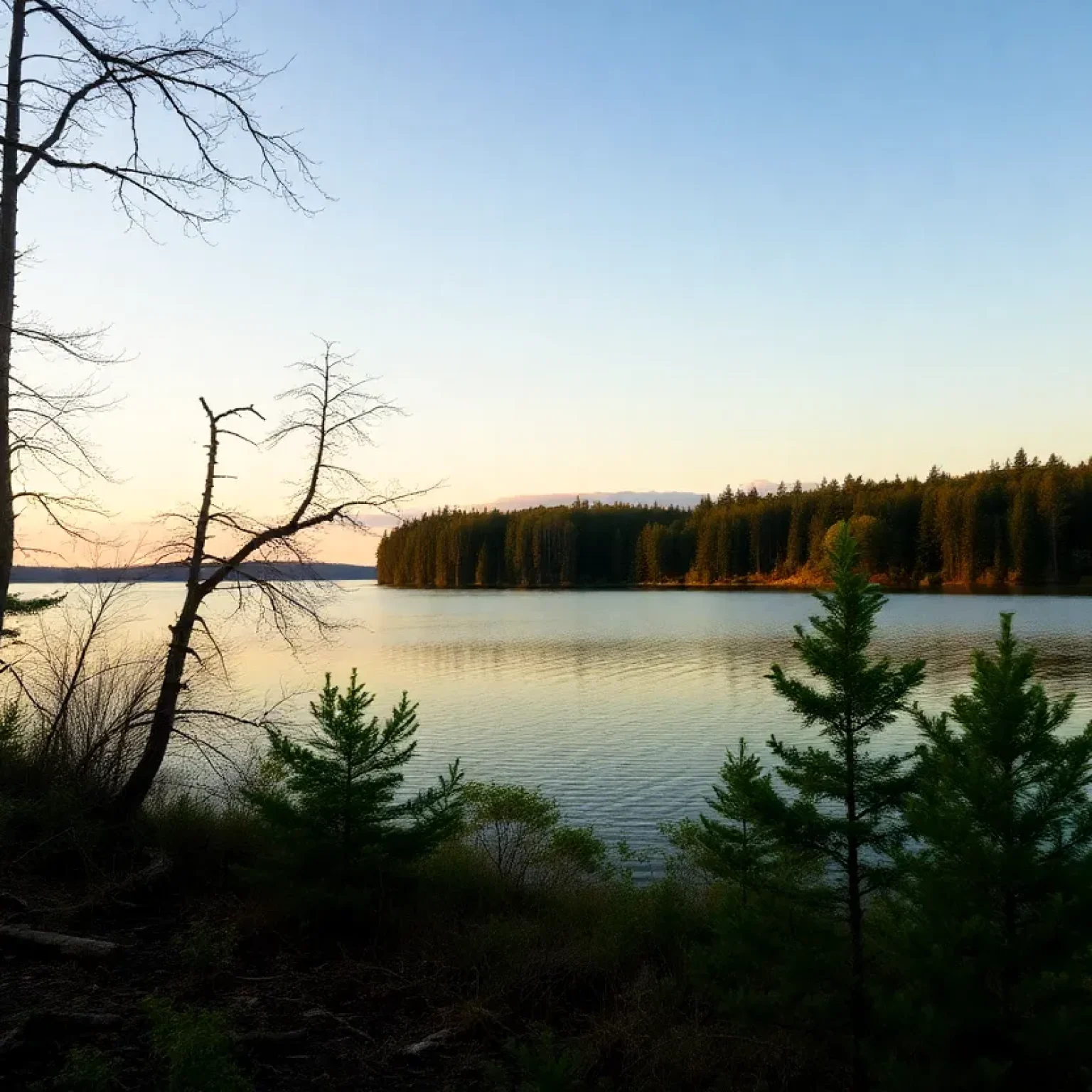 A tranquil lake view surrounded by forests in Michigan.